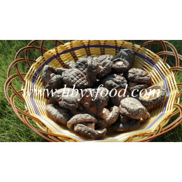 Niedrigerer Preis getrockneter Shiitake / getrockneter glatter Shiitake Pilz